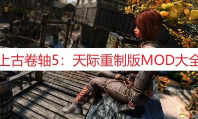 《上古卷轴5：天际重制版》MOD大全