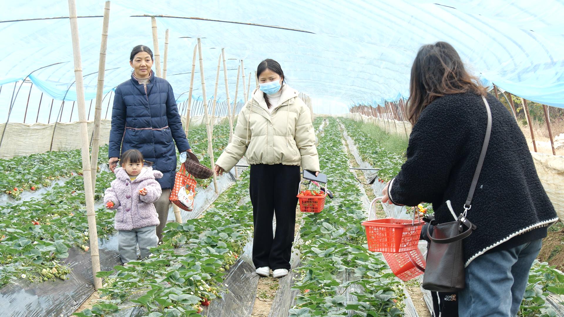 农场开心农场游戏_农场开心农场_开心农场